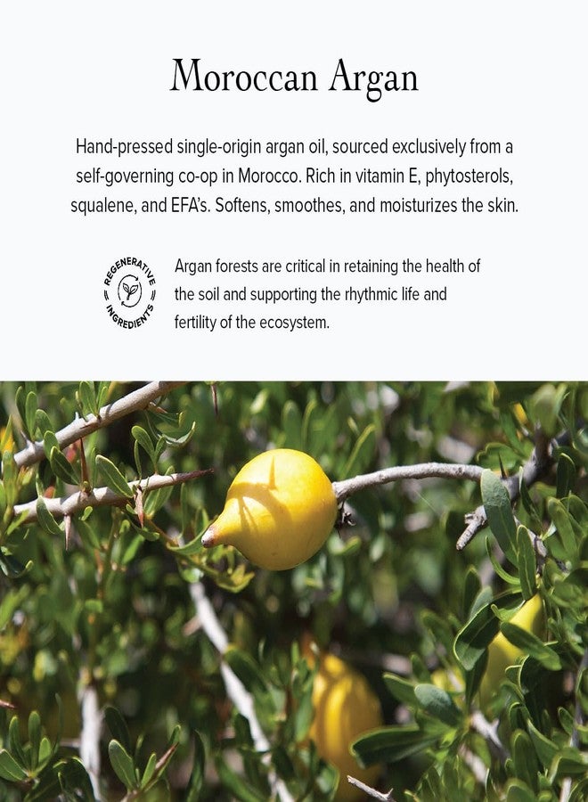evanhealy Whipped Moroccan Argan Butter | Organic Shea Butter, Argan Oi & Lavender | Moisturize & Revitalize Dehydrated Skin - Image 5